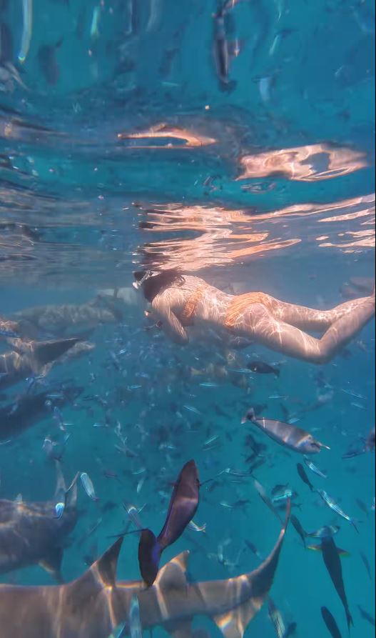 內地女遊客「大姨媽」到仍潛水，疑血腥味刺激鯊魚，導致手部被咬出血洞。抖音＠我愛藍色