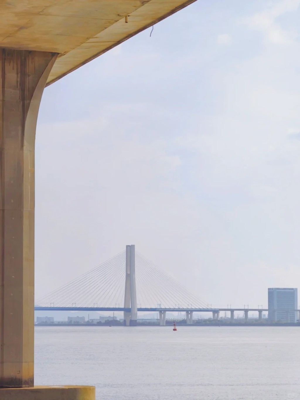 凫洲大桥（图片来源：小红书）