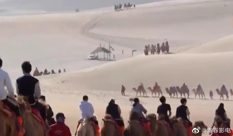 大量遊客到訪，令沙漠擠滿駱駝。(央視畫面截圖)
