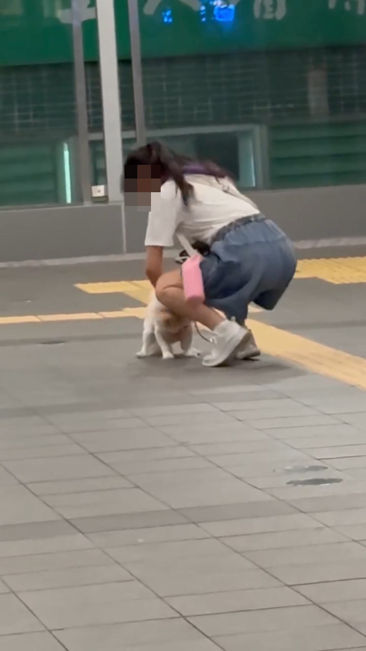 女子突然大力拍打狗狗身體至少4下。網上片段截圖