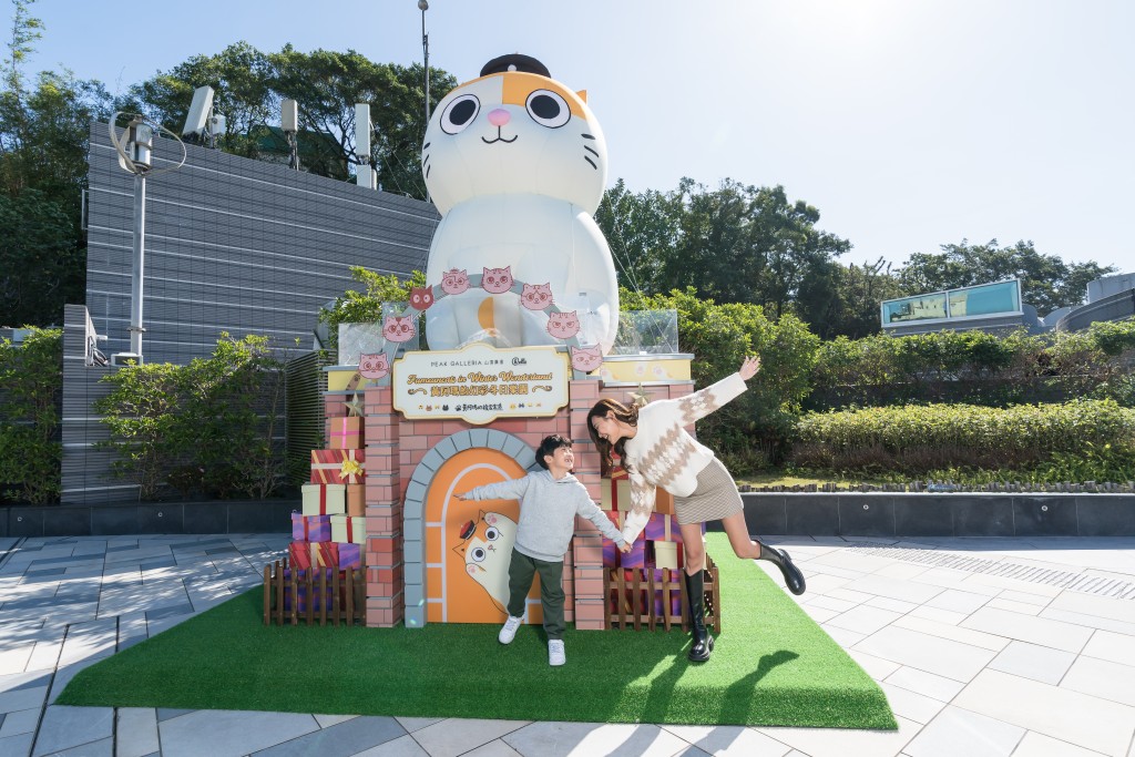 台灣超人氣貓咪《黃阿瑪的後宮生活》登陸山頂廣場