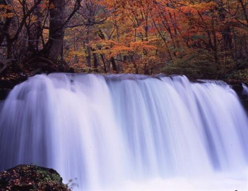 銚子大瀑布是奧入瀨溪最具人氣的景點。