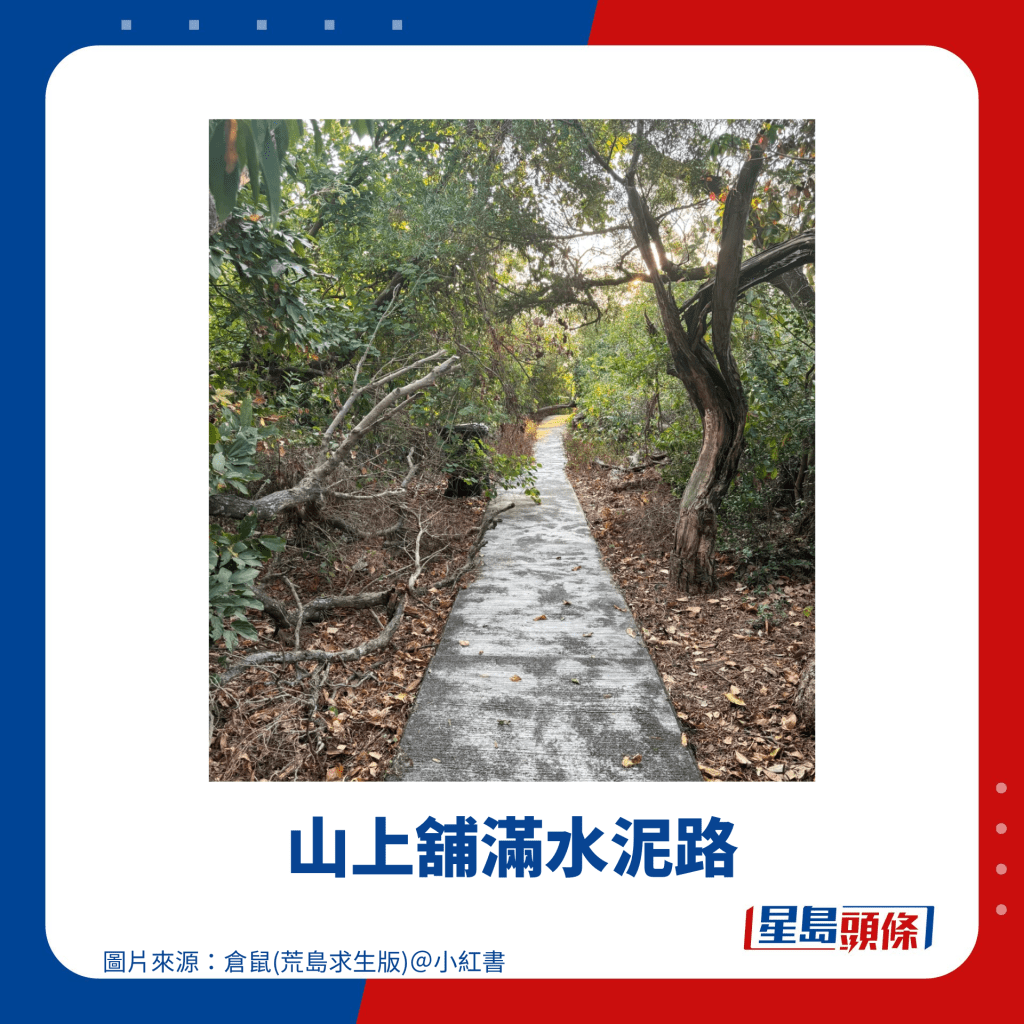 山上舖滿水泥路