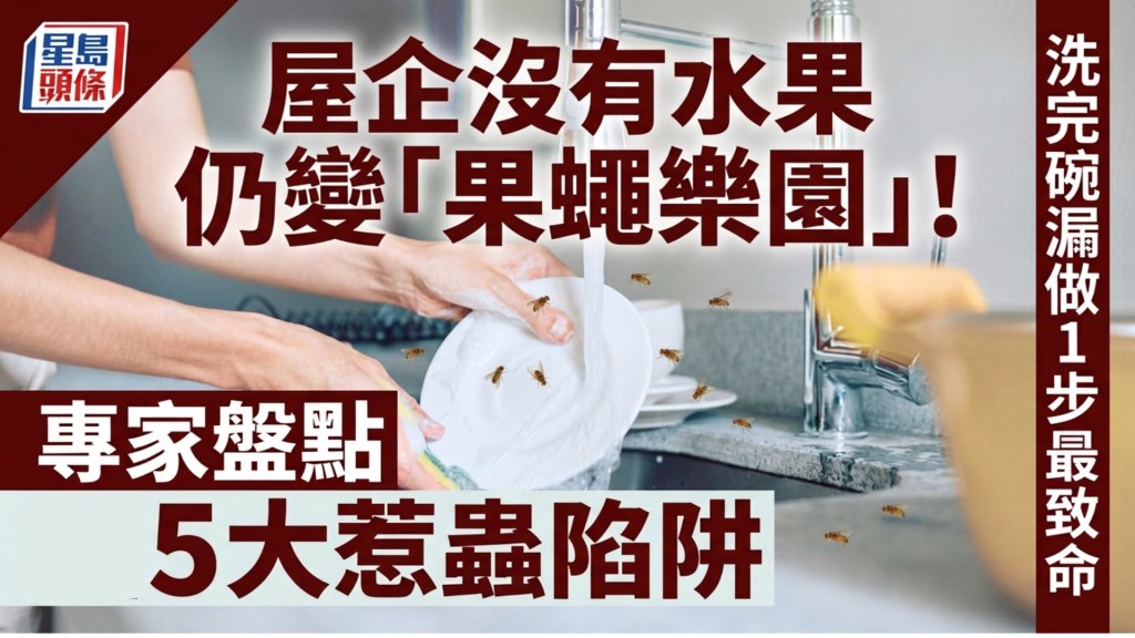 屋企沒有水果仍變「果蠅樂園」！專家盤點5大惹蟲陷阱 洗完碗漏做1步最致命