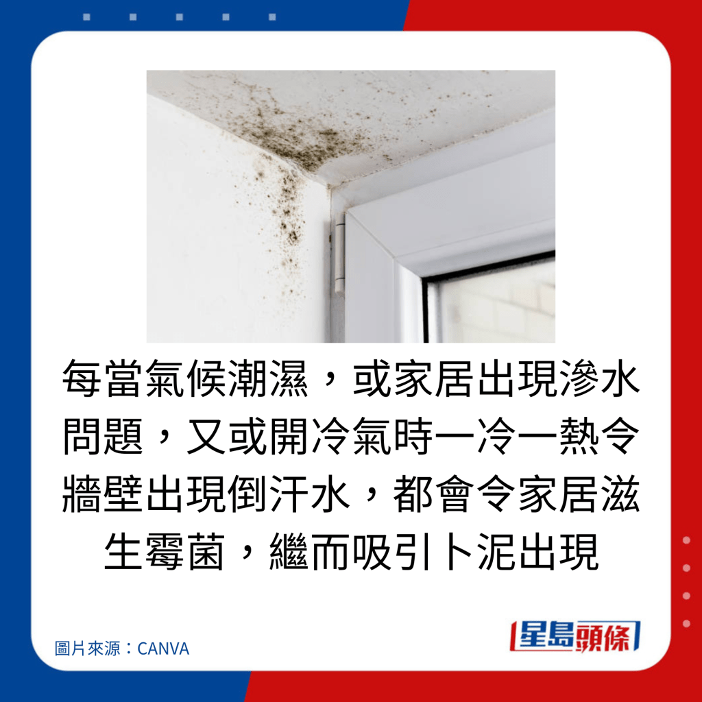 每当气候潮湿，或家居出现渗水问题，又或开冷气时一冷一热令墙壁出现倒汗水，都会令家居滋生霉菌，继而吸引卜泥出现。