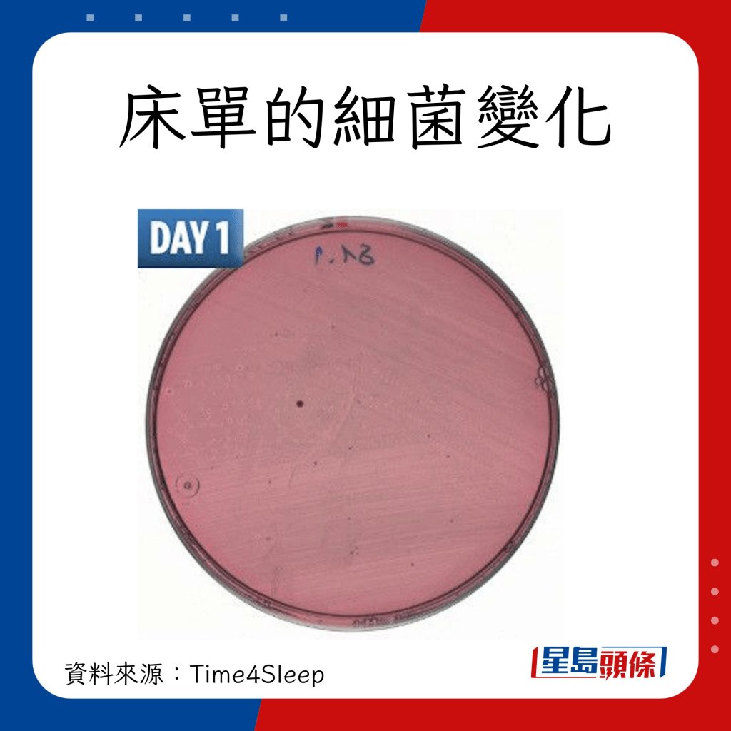 床單塵蟎細菌｜床單第1天的細菌量（圖片來源：time4sleep）