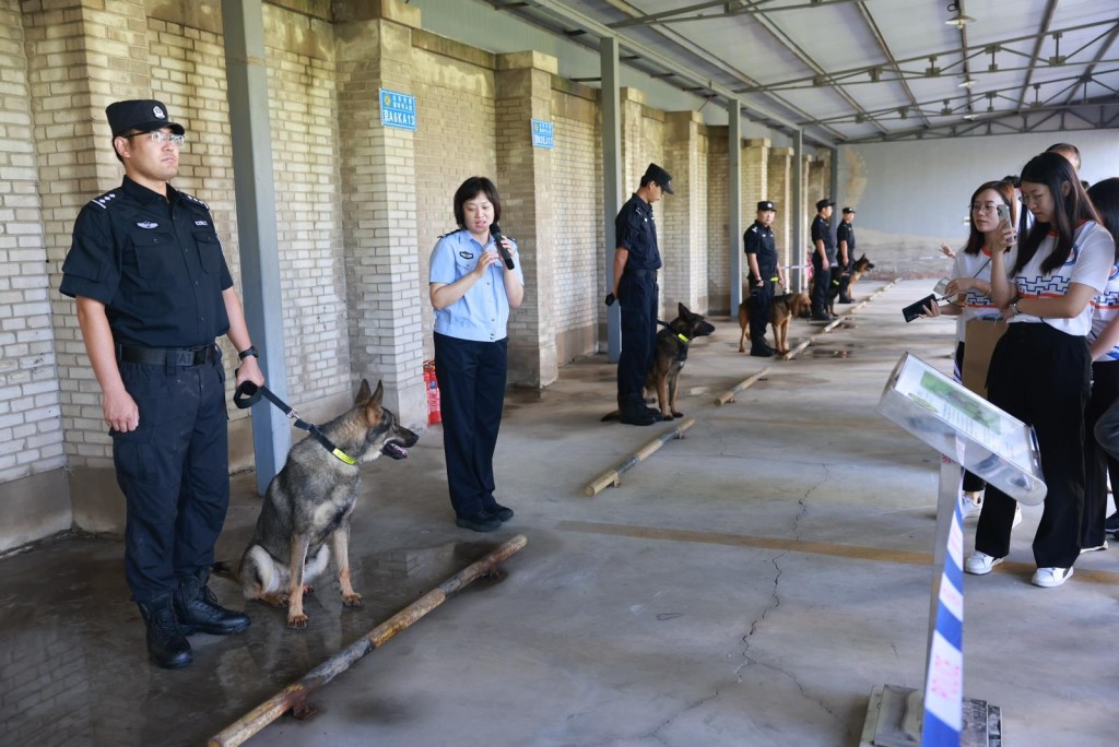 团队欣赏警犬寻找物件示范、 服从示范及障碍赛表演等。保安局fb