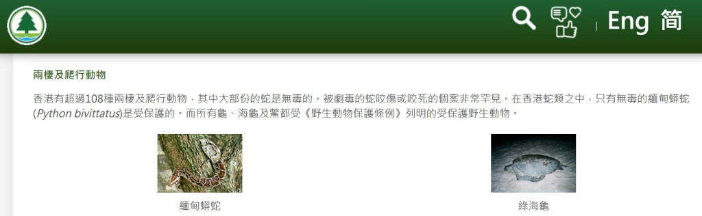 漁護署指,在香港蛇類之中,只有無毒的緬甸蟒蛇(Python bivittatus)是受保護的」。漁護署網頁截圖 漁護署指,在香港蛇類之中,只有無毒的緬甸蟒蛇(Python bivittatus)是受保護的」。漁護署網頁截圖