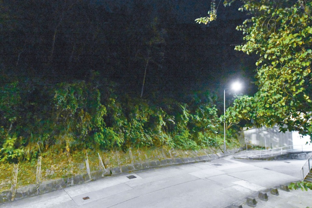 下季推出荃灣寶豐路住宅地招標。