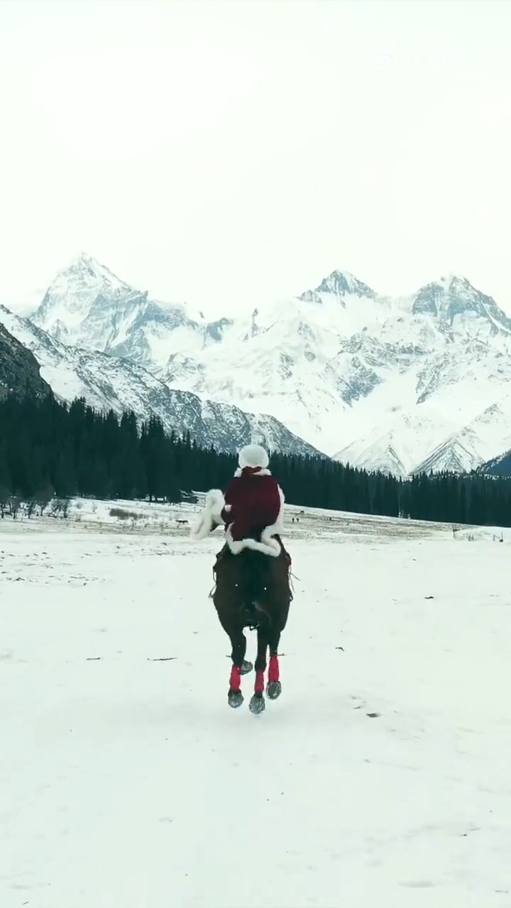 賀嬌龍曾因披著紅色斗篷在雪原策馬而走紅。