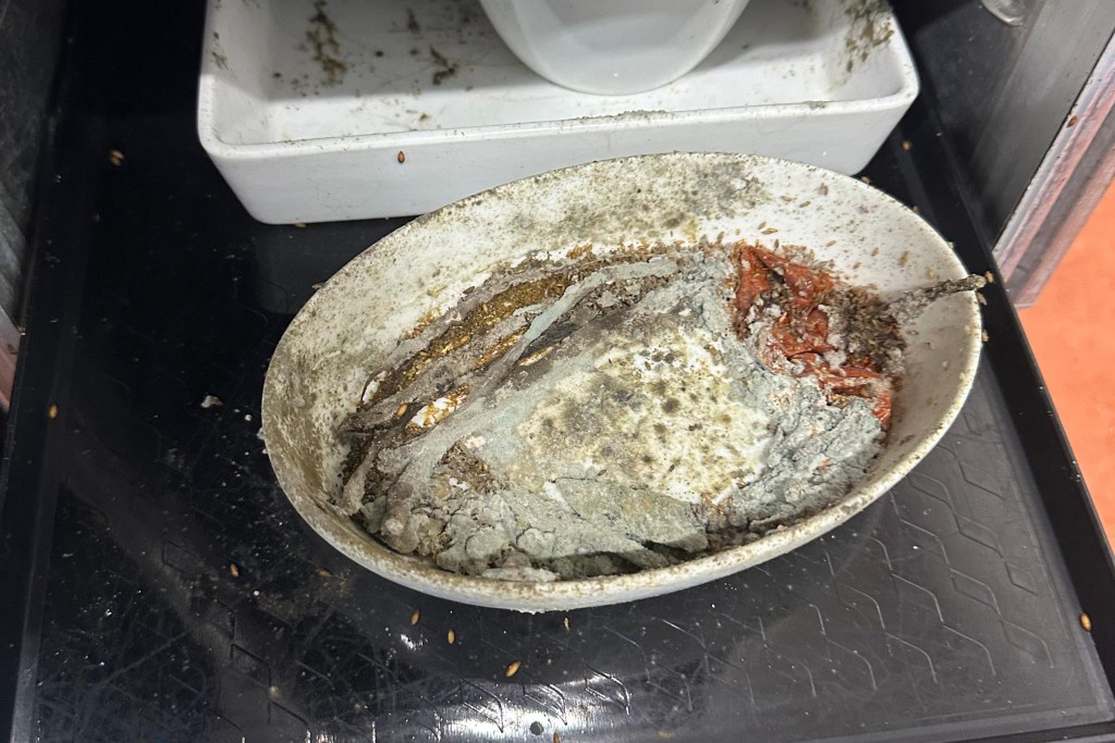 有員工投訴主管逼洗蛆蟲餐具給旅客用。洛杉磯工會UNITE HERE Local 11