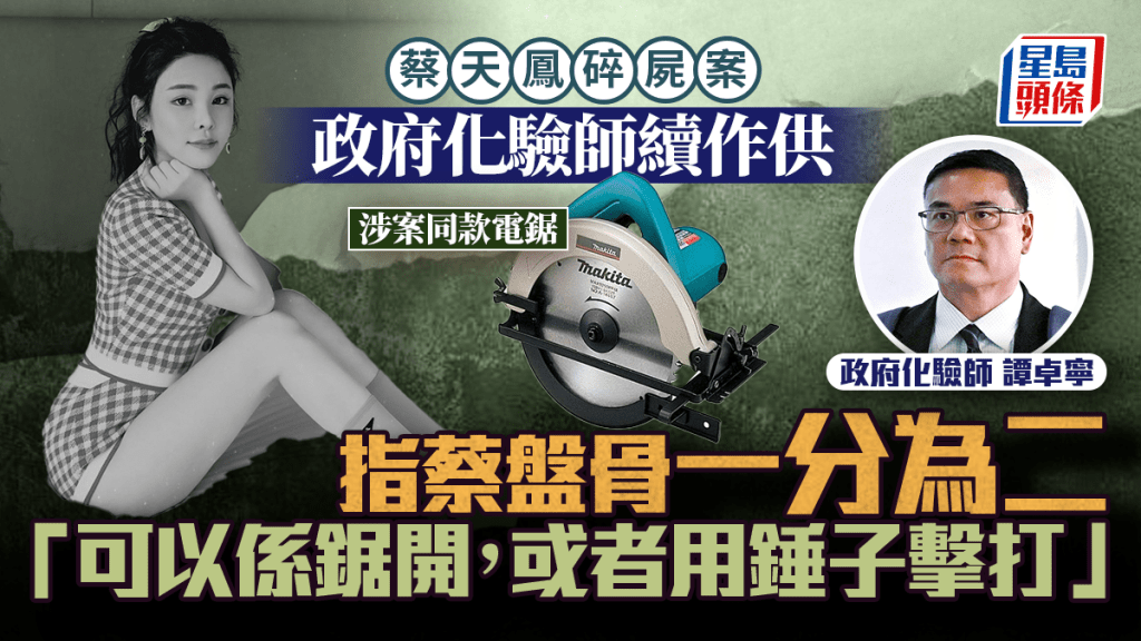 蔡天鳳碎屍案｜政府化驗師稱盤骨一分為二 「可以係鋸開」或錘子擊打而成