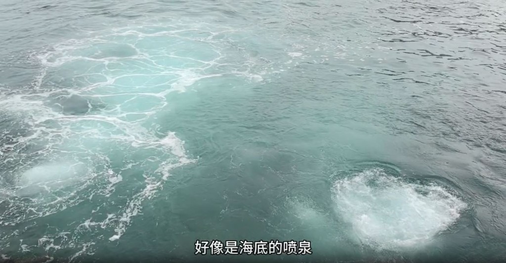 樓主覺得好像是海底的噴泉。（圖片來源：小紅書@Nicolas）