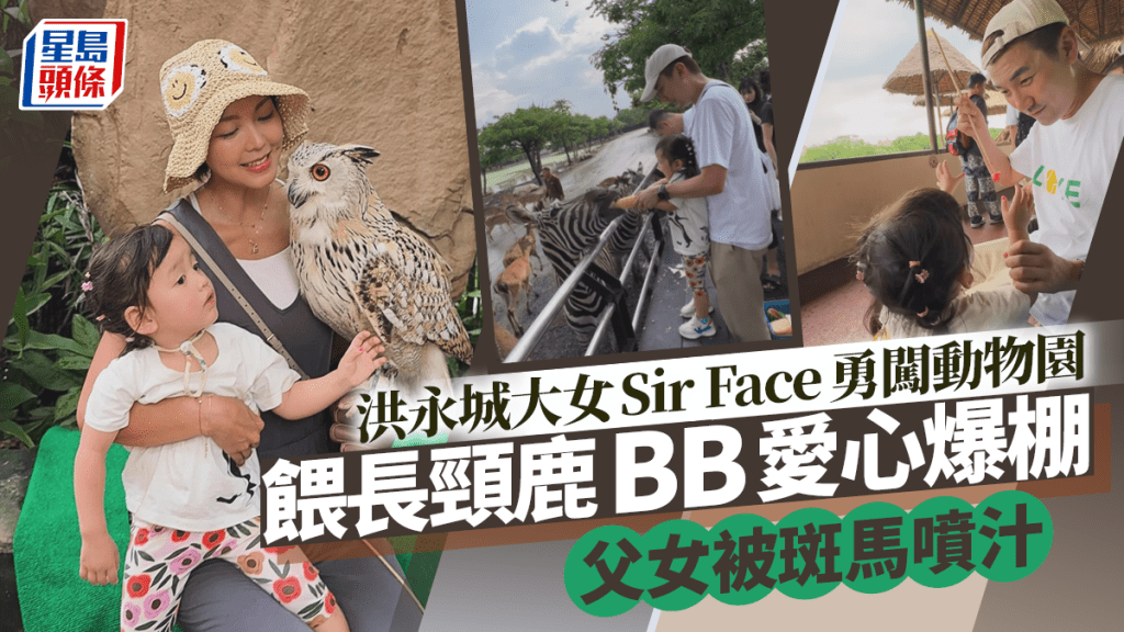 洪永城2歲半女Sir Face勇闖動物園  餵長頸鹿一原因顯露愛心 父女被斑馬噴汁