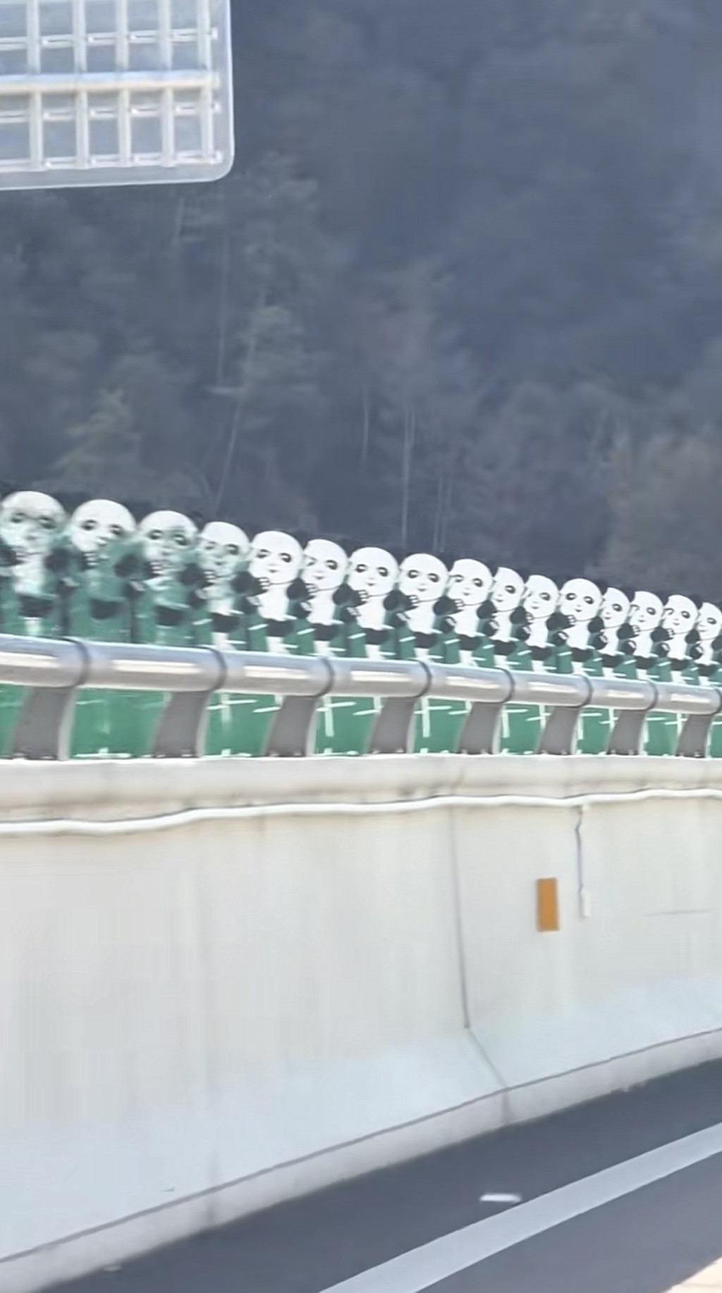 四川高速現詭異熊貓防眩板。抖音@是小鹿兒呀花藝婚禮 四川高速現詭異熊貓防眩板。抖音@是小鹿兒呀花藝婚禮
