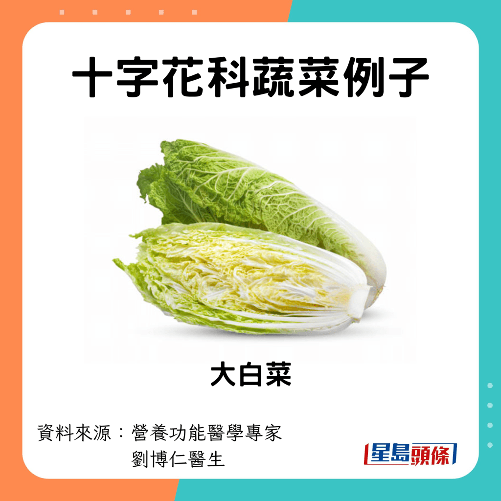 十字花科蔬菜 大白菜