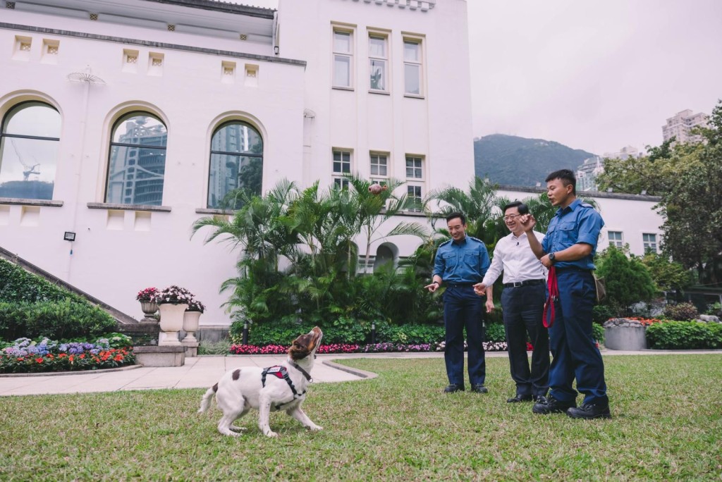 李家超指消防搜救犬Twix和Umi的身体检查结果十分理想，可以继续执行职务。