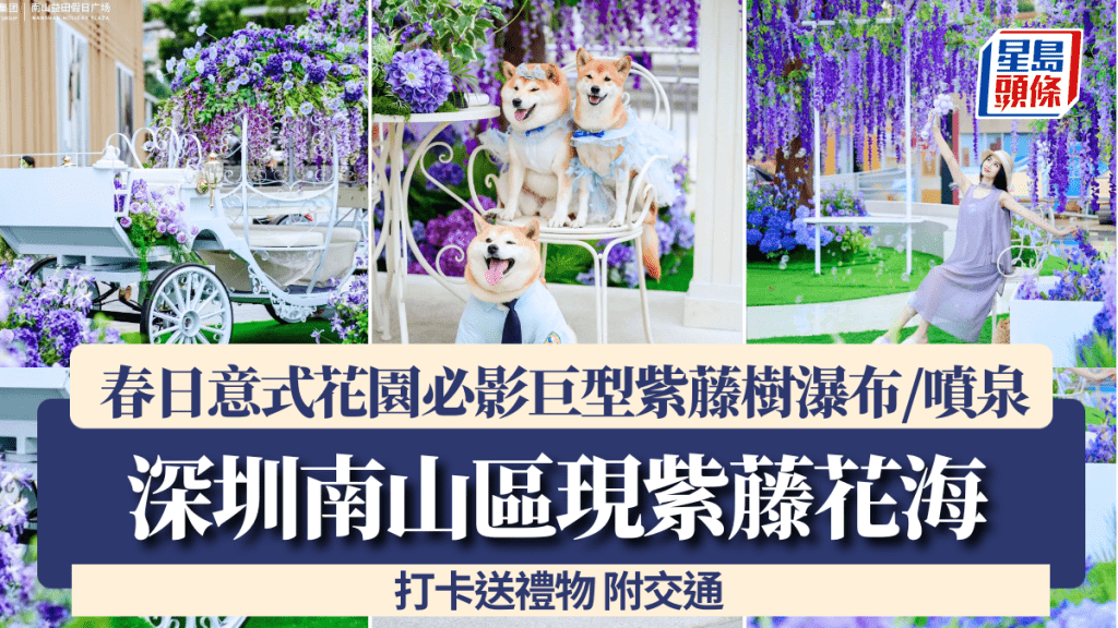 深圳現紫藤花海！南山區商場打造春日意式花園 必影巨型紫藤樹瀑布/噴泉 打卡送禮物