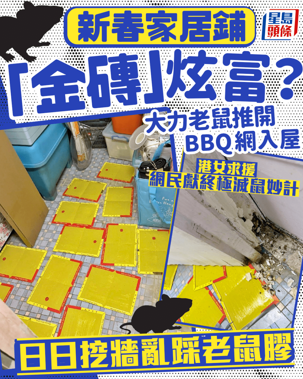 新春家居鋪「金磚」炫富? 大力老鼠推網入屋亂踩老鼠膠 網民獻終極滅鼠妙計|Juicy叮 新春家居鋪「金磚」炫富? 大力老鼠推網入屋亂踩老鼠膠 網民獻終極滅鼠妙計|Juicy叮