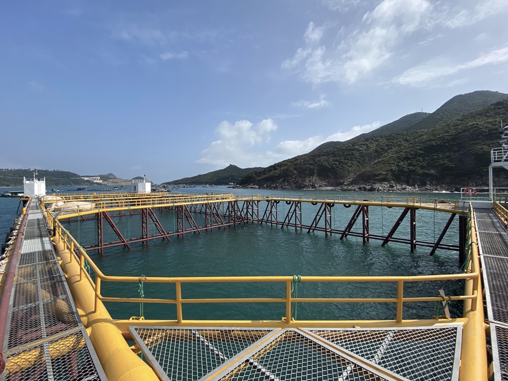 漁農自然護理署今年在東龍洲魚類養殖區設立現代化海產養殖示範。漁護署圖片