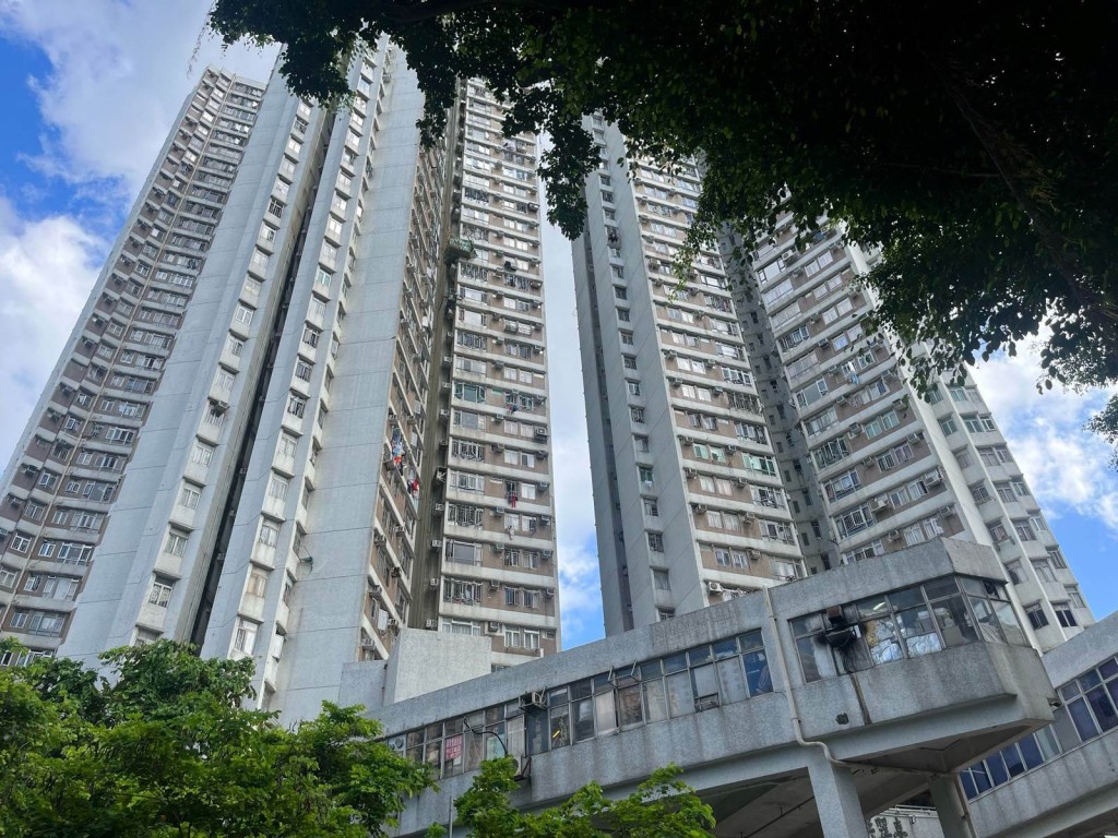 樂翠臺由3座物業組成,提供978伙,單位實用面積介乎577至862方呎,當中最大的A室實用面積為862方呎。 樂翠臺由3座物業組成,提供978伙,單位實用面積介乎577至862方呎,當中最大的A室實用面積為862方呎。