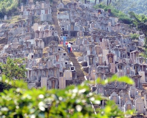 受影响的坟场包括和合石坟场、长洲坟场、大屿山大澳坟场等。资料图片