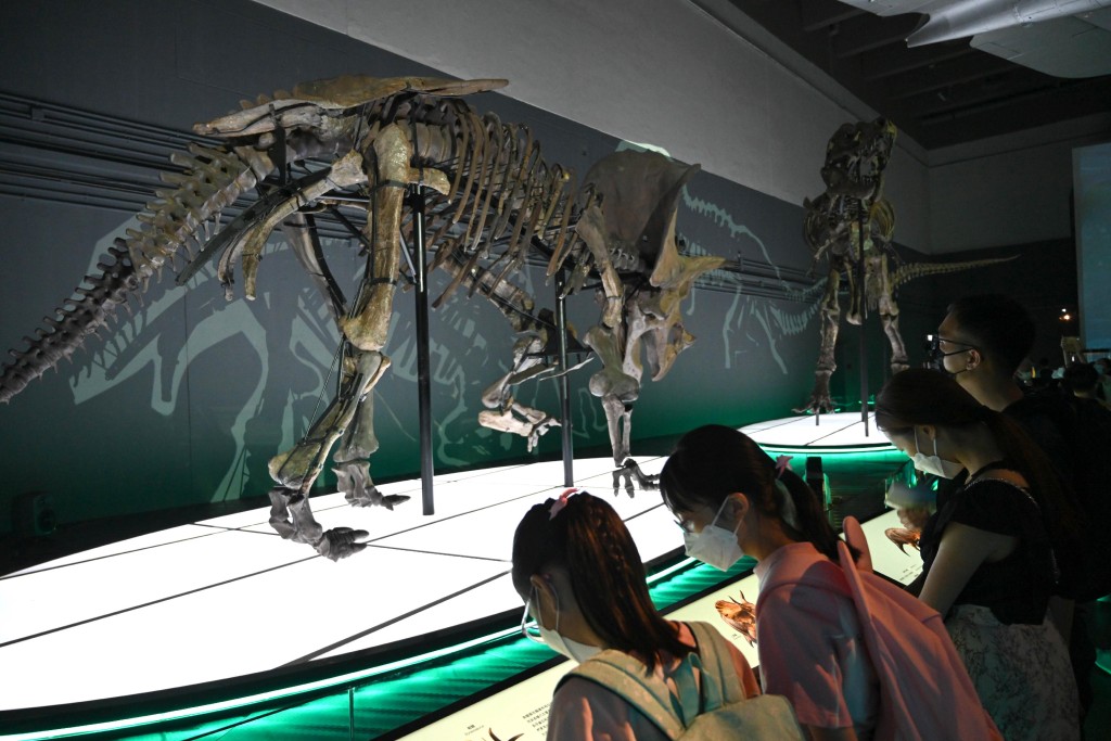市民参观身形庞大的三角龙化石骨架。政府新闻处图片