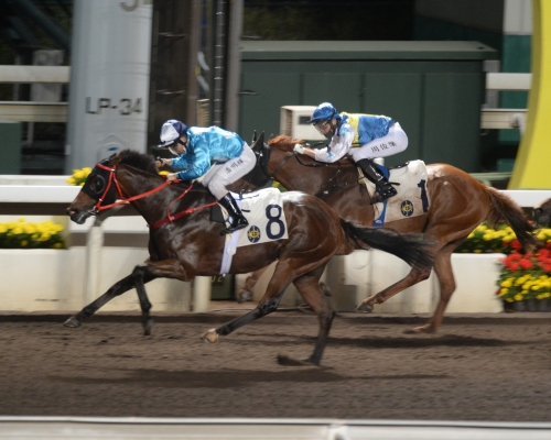 羅富全馬房的「保羅承傳」今季大幅進步,今晚贏得今季第四場頭馬。
