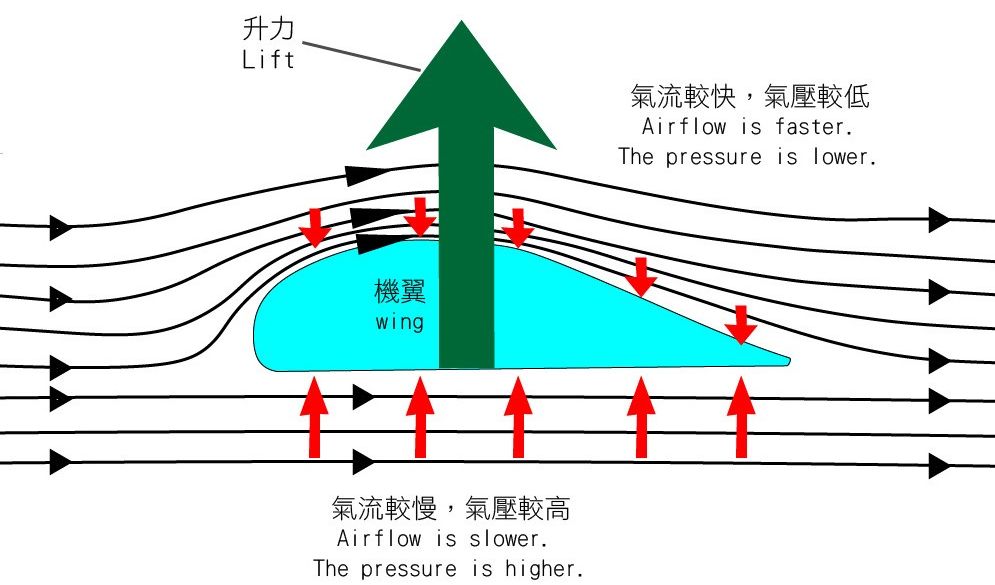 圖二 氣流通過飛機機翼時會被分開,機翼的形狀設計令頂部氣流的流動比底部的快,產生垂直的壓力差,為飛機提供升力」。 圖二 氣流通過飛機機翼時會被分開,機翼的形狀設計令頂部氣流的流動比底部的快,產生垂直的壓力差,為飛機提供升力」。