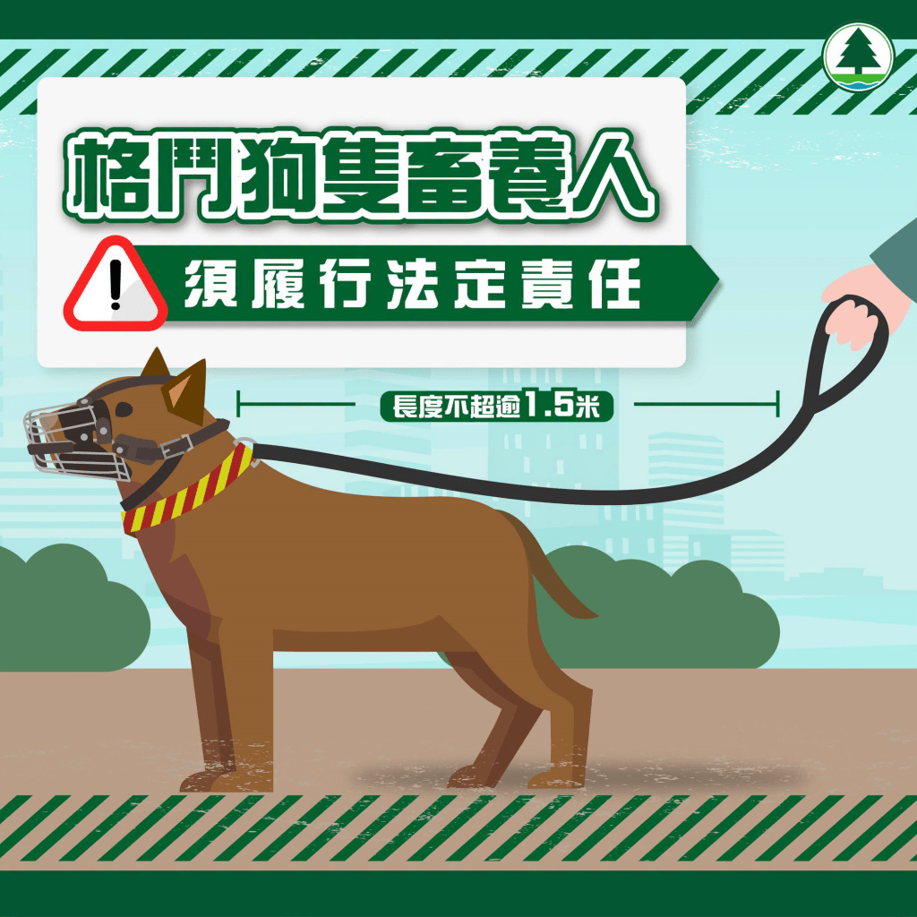 本港法例禁止進口、繁育、出售和無牌飼養格鬥狗隻。漁護署fb 本港法例禁止進口、繁育、出售和無牌飼養格鬥狗隻。漁護署fb