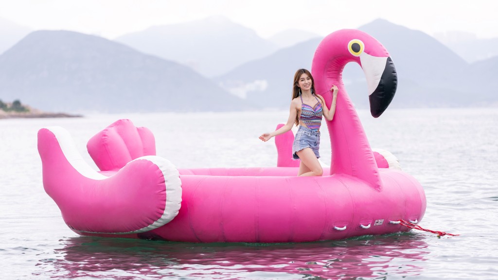 巨型 Flamingo海上畅游体验。主办方提供