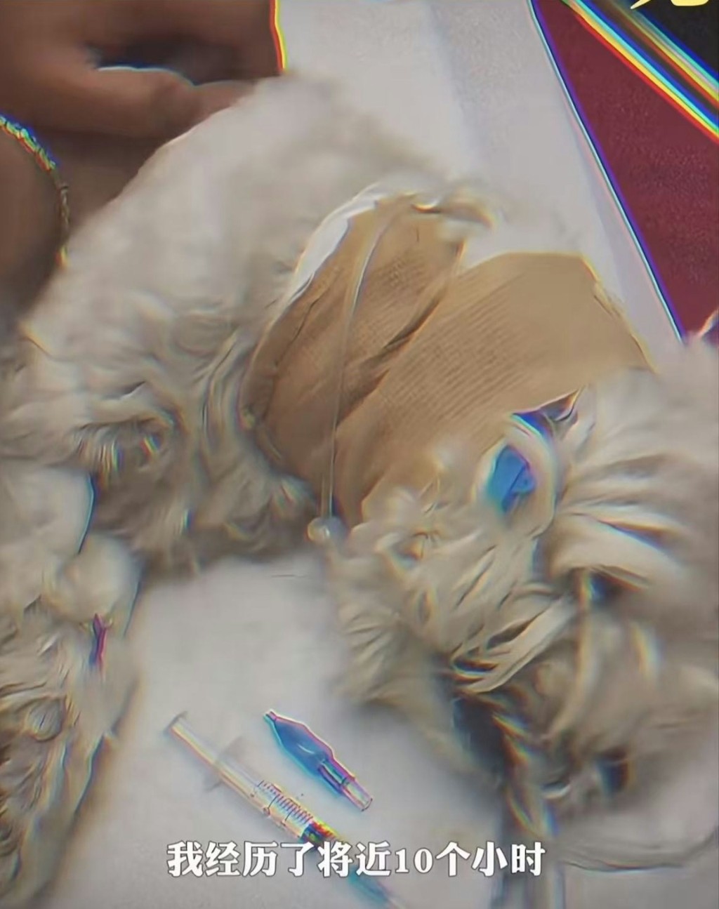 李女士(中)的愛犬被毒殺。小紅書 李女士(中)的愛犬被毒殺。小紅書