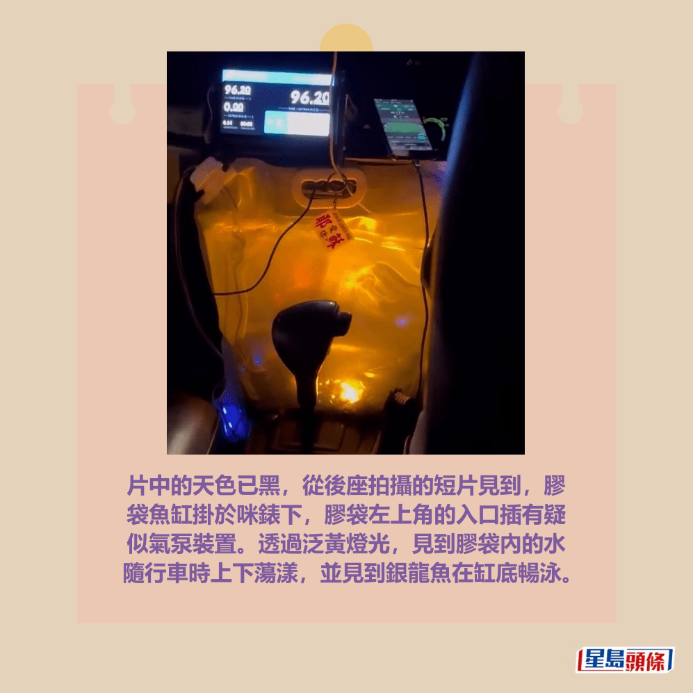 片中的天色已黑，從後座拍攝的短片見到，膠 袋魚缸掛於咪錶下，膠袋左上角的入口插有疑 似氣泵裝置。透過泛黃燈光，見到膠袋內的水 隨行車時上下蕩漾，並見到銀龍魚在缸底暢泳。Threads截圖