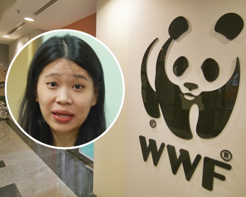 世界自然基金會野生生物保育經理陳悅珊（小圖）表示，有關修例將有效遏止非法走私活動。資料圖片
