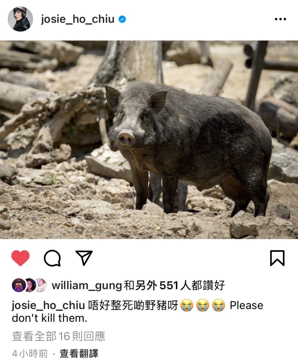 超儀貼相留言。