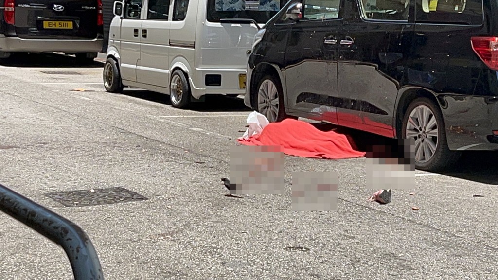 女子倒斃七人車旁邊。楊偉亨攝 女子倒斃七人車旁邊。楊偉亨攝