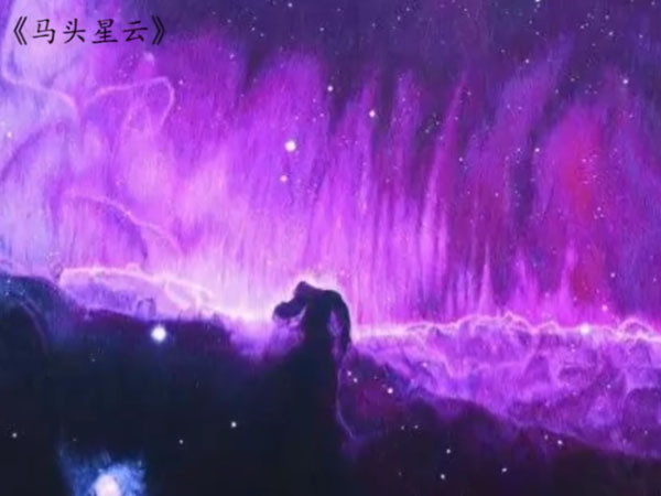 刺绣作品《马头星云》。网上图片