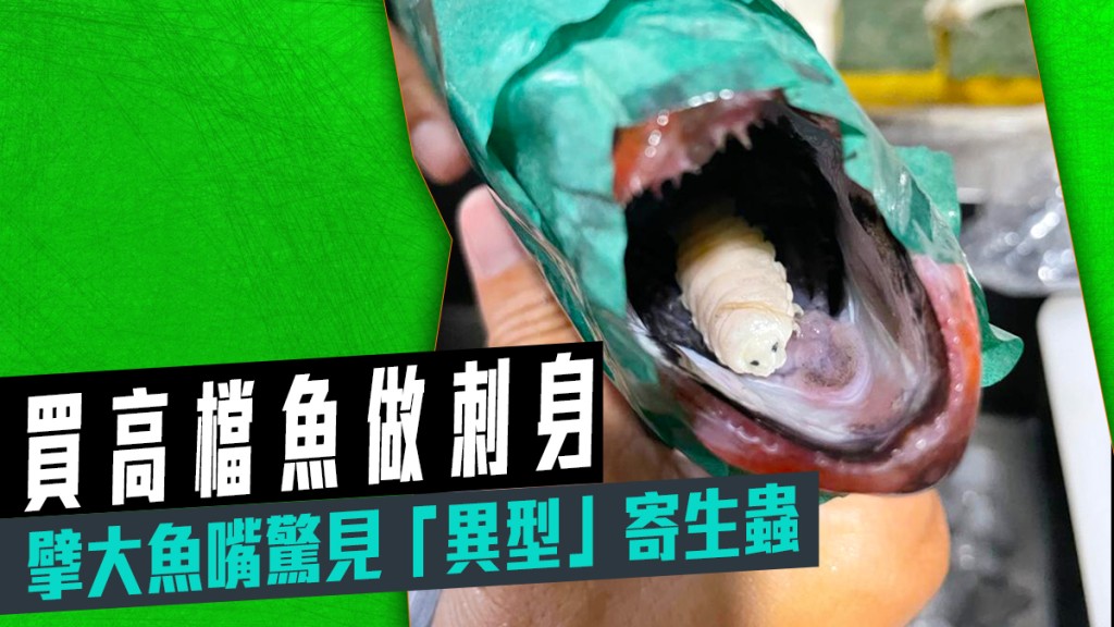 香港寿司刺身关注组FB图片
