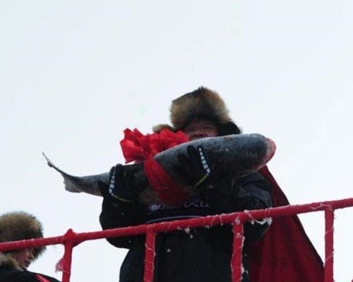 今年的頭魚拍出2966666元人民幣。網圖
