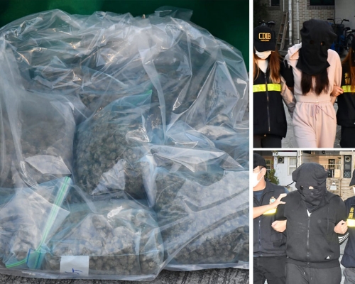 海關檢獲的大麻,市值約1200萬元。