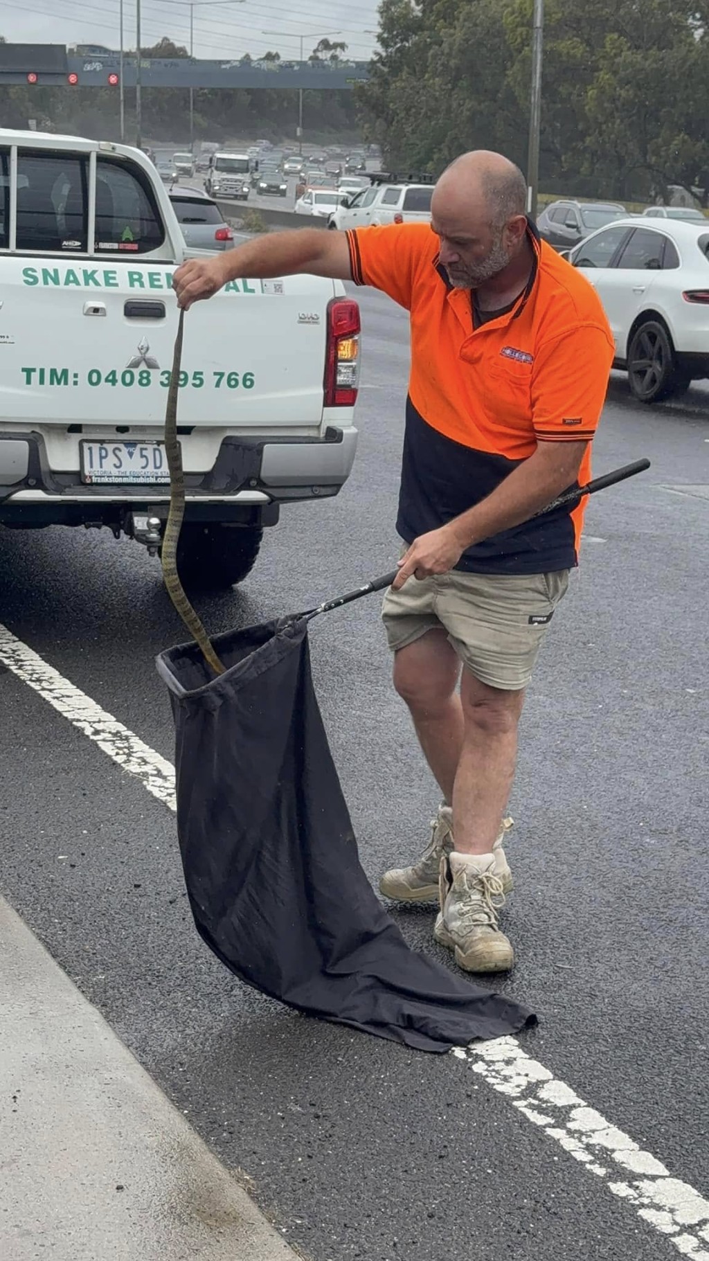 澳洲女子在高速公路開車開到一半驚見腿邊有蛇。    Melbourne snake control 