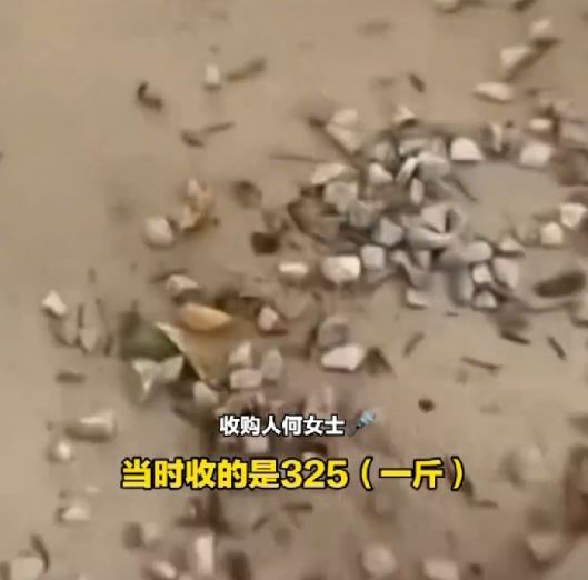 何女士聲稱向老人購入的蟬蛻，八成被塞入石粒呃秤。大象新聞