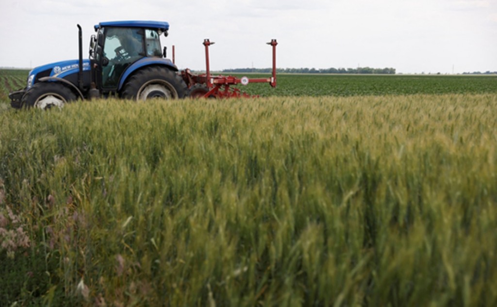 麥卡利普指中國是美國穀類的最大出口市場。美聯社