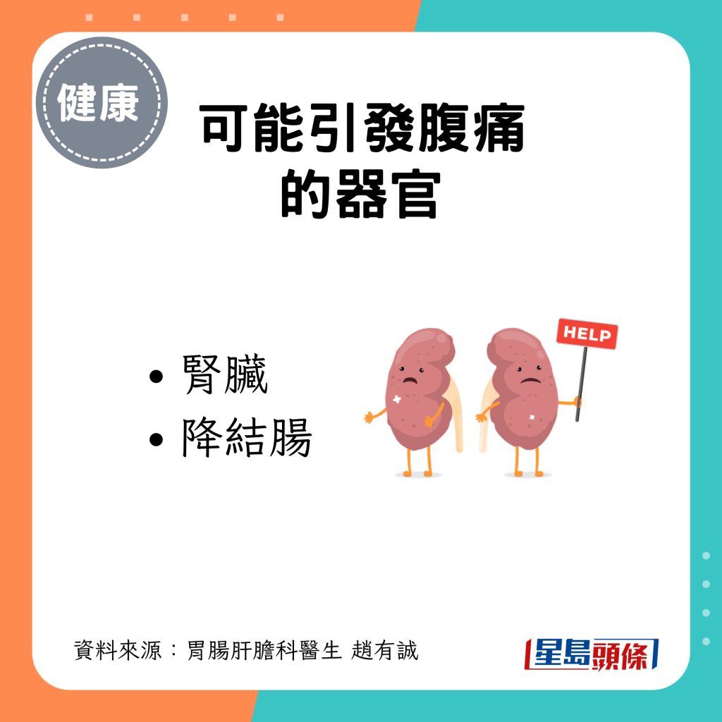 可能引发腹痛的器官：肾脏 降结肠