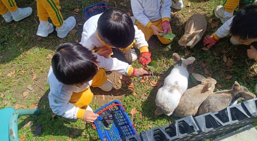 （圖片來源：KKday）