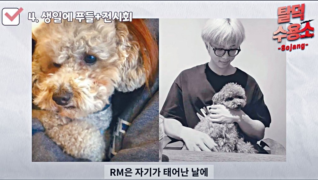 ■RM被爆戀上富家女,二人曾在網上晒愛犬照片,似是同一隻小狗。