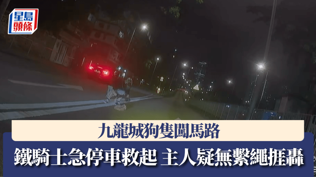 九龍城狗隻闖馬路 鐵騎士急停車救起 主人疑無繫繩捱轟。Facebook 車cam L（香港群組）影片截圖