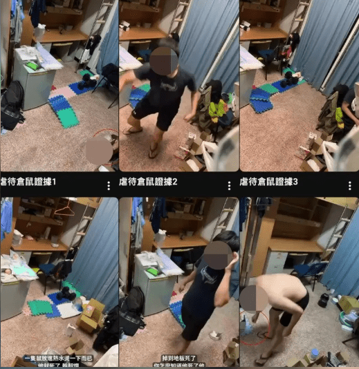 陳男虐殺倉鼠的畫面。Youtube 陳男虐殺倉鼠的畫面。Youtube