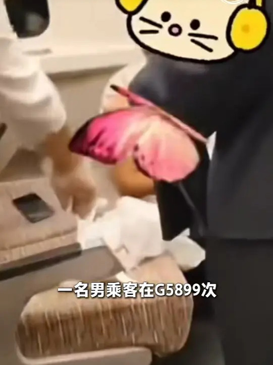 男乘客疑似在車廂座位旁大便。 男乘客疑似在車廂座位旁大便。