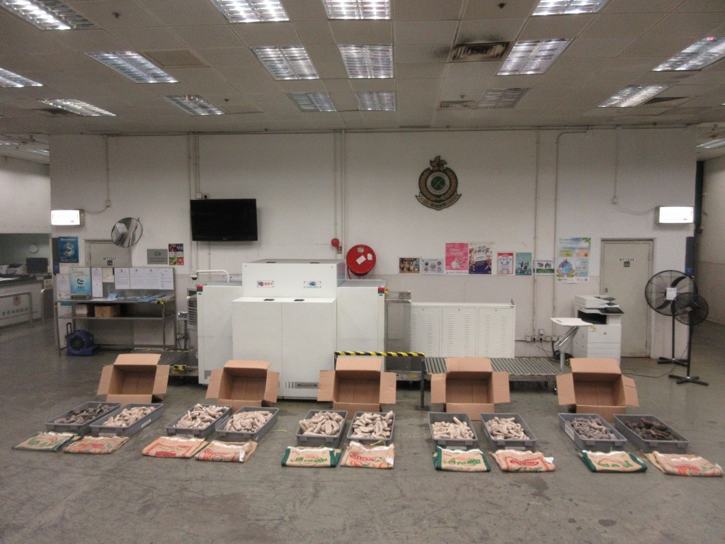 海關檢獲約202公斤懷疑受管制海參，估計市值約52萬元。政府新聞處圖片